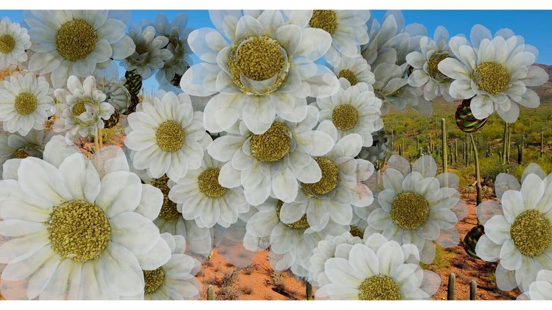 新媒體藝術家鄭淑麗紐約展出「愛人，愛」，作品「沙漠仙人掌花」。（勒斯里．羅曼美術館提供，Leslie-Lohman Museum of Art）中央社記者廖漢原華盛頓傳真　115年3月28日