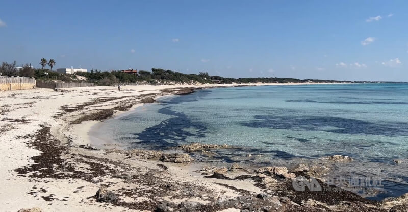 薩倫托位在義大利靴型國土鞋跟位置,以清澈碧藍的海水聞名,是夏日度假勝地。中央社記者黃雅詩薩倫托攝 115年3月30日