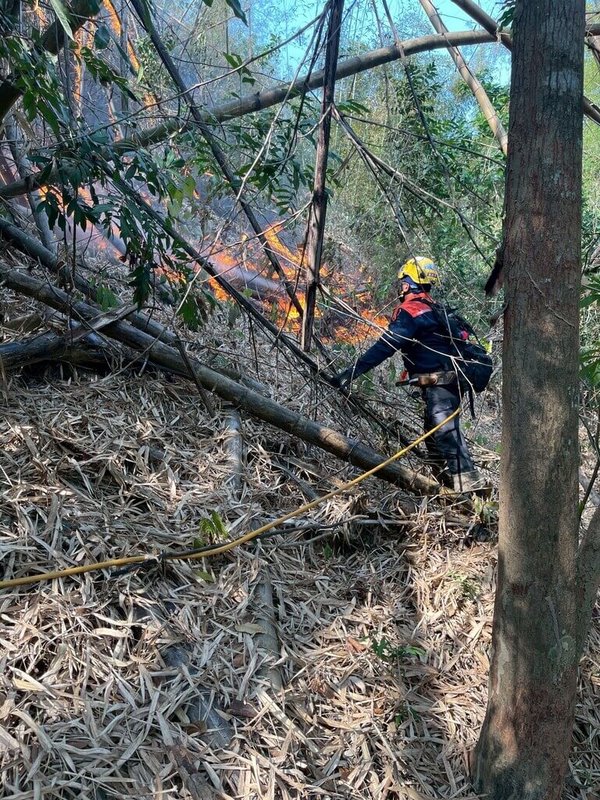 高雄市美濃區第四公墓29日發生雜草火警，高雄市政府消防局2天累計出動消防與義消人員201人次搶救，在跨單位協力合作下，火勢於30日上午獲得控制，燃燒面積約2公頃。（高雄市政府消防局提供）中央社記者張已亷傳真　115年3月30日