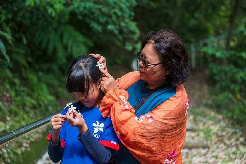 新北市政府客家事務局2日表示，2026新北市客家桐花祭系列活動已於4月1日開放報名，邀請民眾踴躍參與，走訪新北山林，欣賞桐花美景。（新北市客家局提供）中央社記者黃旭昇傳真  115年4月2日