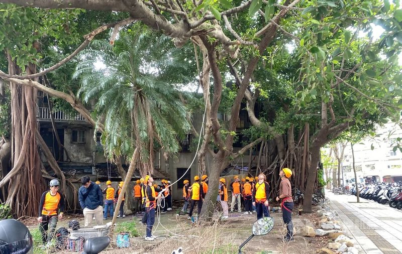 台灣樂山協會培訓山域搜救員，3月28日在板橋區新民街的高聳老榕樹下教導學員練習拋繩、打繩結、攀爬、架繩橋等基礎項目。中央社記者黃旭昇攝　115年4月3日