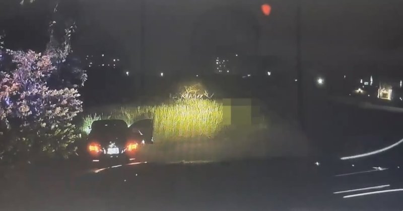 台南市警局2日晚上在永康區攔查1輛可疑汽車，駕駛棄車逃逸無蹤；警方追查，駕駛是逃逸越南移工，目前追緝中。（台南市警局提供）中央社記者張榮祥台南傳真 115年4月3日