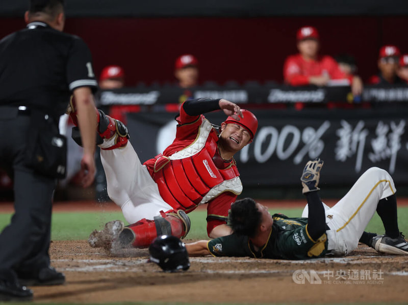 中華職棒台鋼雄鷹隊4日例行賽交手味全龍隊，雄鷹湯家豪（右）7局上從二壘衝回本壘得分，與龍隊捕手蔣少宏（左）撞在一起，兩人雙雙倒地。中央社記者張新偉攝　115年4月4日