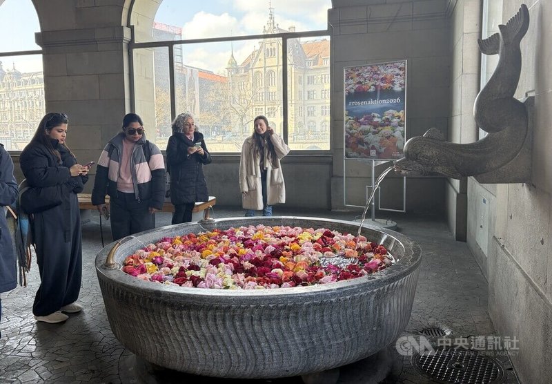 蘇黎世老城的教堂支持玫瑰噴泉的新傳統,遊客絡繹不絕,氣氛歡欣,除了本地觀光客之外,外國遊客也不少。中央社記者郭芳君蘇黎世攝 115年4月4日