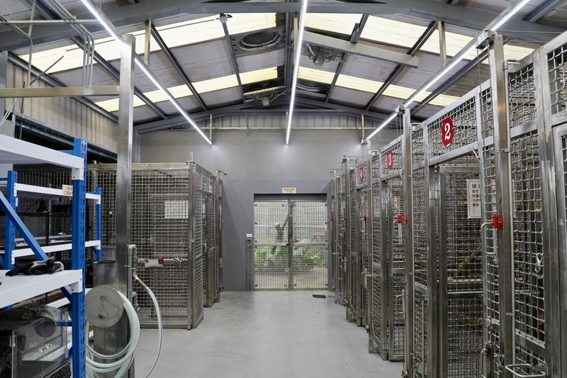 新北市首座野生動物救傷收容中心日前於三芝動物之家啟用，設有野生動物專用配膳室、醫療室，籠舍並採滑輪與拉軌設計，可彈性調整空間配置。（新北市動保處提供）中央社記者黃旭昇傳真　115年4月4日