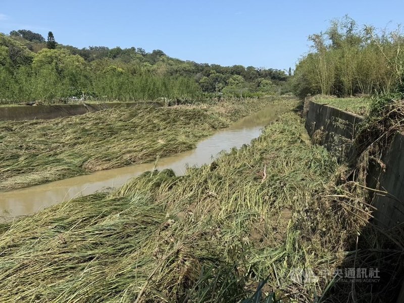 苗栗縣4日豪雨造成頭屋鄉沙河溪溢堤，沿岸道路、住家淹水嚴重，當地居民5日向縣府及相關單位陳情，盼加強整治河道淤泥及雜草。中央社記者管瑞平攝　115年4月5日
