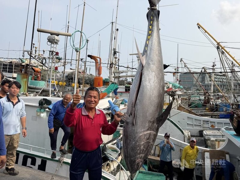 2026年屏東第一鮪出爐，由琉球籍漁船富漁慶2號於5日捕獲，6日順利「驗明正身」，船長洪福家（前紅衣）開心與捕獲的「第一鮪」合影。中央社記者李卉婷攝　115年4月6日