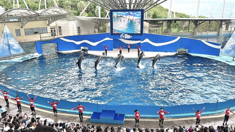 遠雄海洋公園海洋劇場海豚表演「跳浪奇緣」推出近10年，6日迎來最終場演出，未來場域將轉型為海豚守護基地，將以動物福利、海洋教育為設計主軸，導入海洋生態解說與教育展演。（遠雄海洋公園提供）中央社記者張祈傳真　115年4月6日
