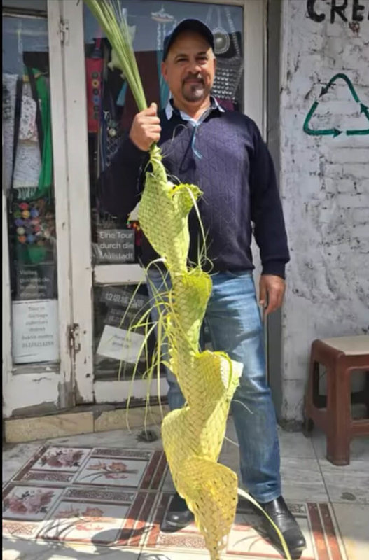 棕櫚枝是棕櫚樹的葉片,形狀如羽毛般纖細,質地粗糙,頂端尖銳。棕櫚枝在科普教徒的眼中象徵和諧與統一,並為節慶營造溫馨和充滿生命力的氛圍。(科普特教徒貝奇提供)中央社記者施婉清開羅傳真 115年4月6日