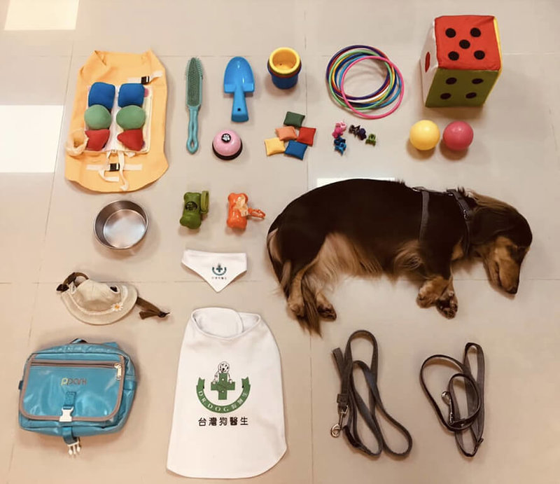 狗醫生每次服務都需穿上制服或戴領巾，並攜帶各種「道具」。左上為台灣狗醫生協會所提供的治療衣，狗醫生穿戴後，可以讓服務對象進行顏色認知、抓握力、扣鈕扣等練習。（斗宅媽提供）中央社記者曾智怡傳真　115年4月6日