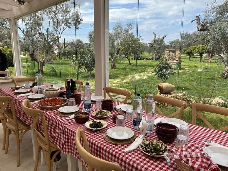 薩倫托橄欖樹在十多年前大規模感染葉緣焦枯病菌，造成嚴重損失。圖為當地知名橄欖油莊Le Chiese努力對抗此次大劫，除了生產橄欖油，也將莊園經營成可參觀品油、辦活動的場地。中央社記者黃雅詩薩倫托攝 115年4月7日