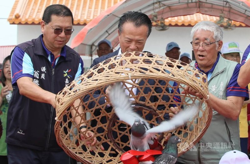 2026義竹鴿笭文化季7日在嘉義縣義竹鄉埤前村聖德宮媽祖廟舉辦開籠儀式，邀義竹出身的嘉義縣長翁章梁（中）返鄉開籠。中央社記者蔡智明攝　115年4月7日