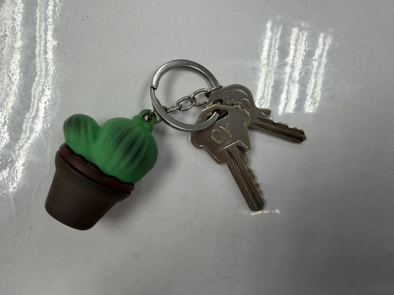 民進黨高雄市鳳山區市議員參選人鄧巧佩選舉看板遭不明人士刮損，轄區前鎮警分局調閱周邊監視器影像，通知涉案顏姓男子到案，他供稱是等公車臨時起意用鑰匙毀損，全案依毀損、妨害他人競選罪送辦。（高雄前鎮警分局提供）中央社記者洪學廣傳真　115年4月8日