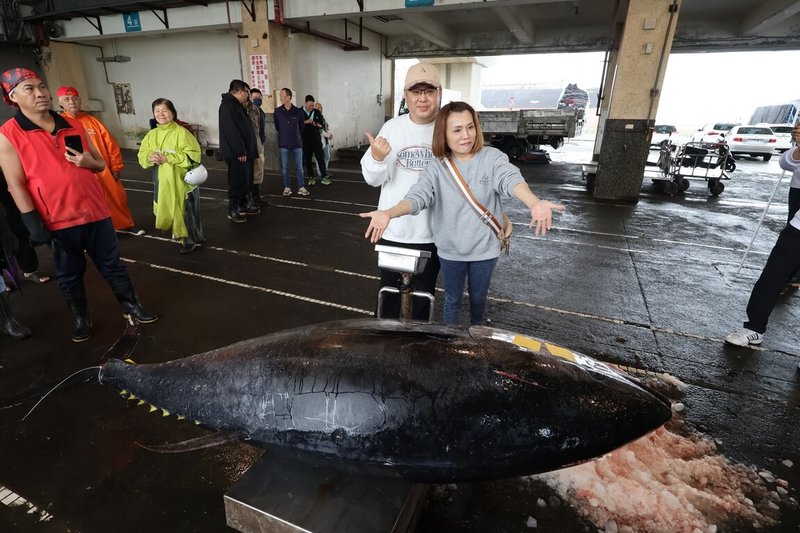 蘇澳籍漁船「全昌隆168號」7日捕獲黑鮪魚，8日凌晨返抵南方澳漁港，秤重達276公斤且符合所有要件，連2年奪下「蘇澳第一鮪」頭銜，對於這次連莊心情，船長林宜俊（中左）表示「很好」。（蘇澳鎮公所提供）中央社記者王朝鈺傳真　115年4月8日