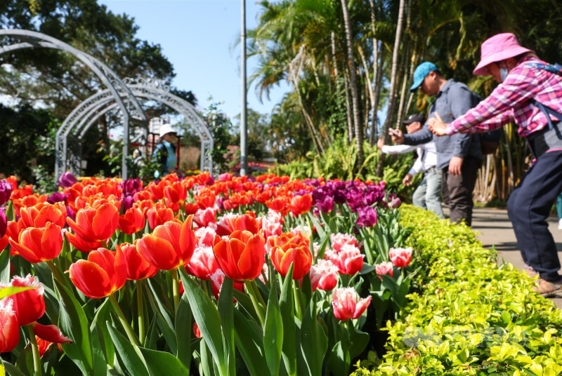 氣象專家吳德榮表示，9日起至14日各地天氣穩定，白天熱如盛夏。圖為民眾在士林官邸賞花。（中央社檔案照片）