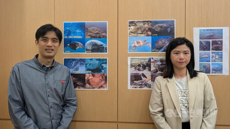 「海龜點點名」共同創辦人馮加伶（右）、中研院生物多樣性研究中心主任陳國勤（左）攜手公民科學家及海生館研究野外海龜受傷復原歷程，相關成果登上國際期刊。中央社記者曾以寧攝　115年4月9日