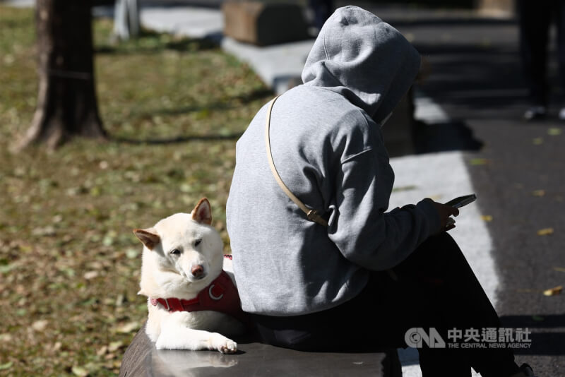 圖為台北市中央藝文公園裡下午有民眾帶著狗狗一起曬太陽。（中央社檔案照片）