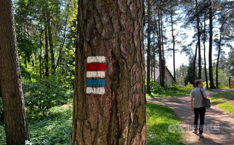 捷克森林的健行路線擁有一套相當完善的標誌系統。整個區域幾乎被密集的健行路線所覆蓋，各式顏色清楚出現在指示牌、石頭，甚至樹幹上。只要依循標示前進，幾乎不太可能迷路。中央社記者劉郁葶波希米亞瑞士國家公園攝　115年4月12日