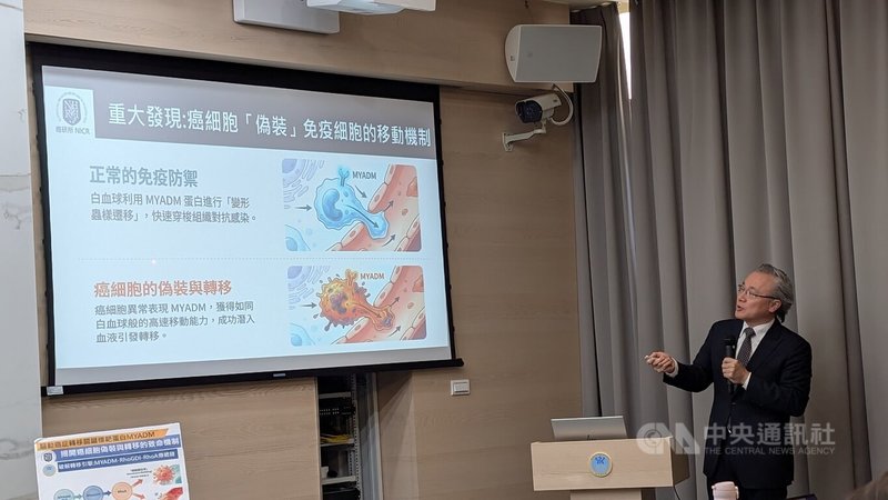 國家衛生研究院最新研究解密，癌細胞能仿效白血球的變形蟲般爬動方式，進出血管以擴散轉移遠端組織，其中「MYADM」基因所製造的跨膜蛋白，扮演關鍵的驅動角色，此研究登上國際重要期刊。中央社記者曾以寧攝　115年4月13日