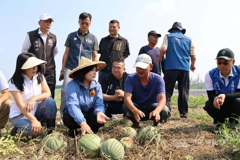 受4月初春雨驟降影響，雲林二崙鄉部分西瓜、南瓜田因排水較差，出現爛根、植株死亡情況；國民黨立委張嘉郡（前左1）、雲林縣長張麗善（前左2）等人14日前往勘災。中央社記者姜宜菁攝　115年4月14日