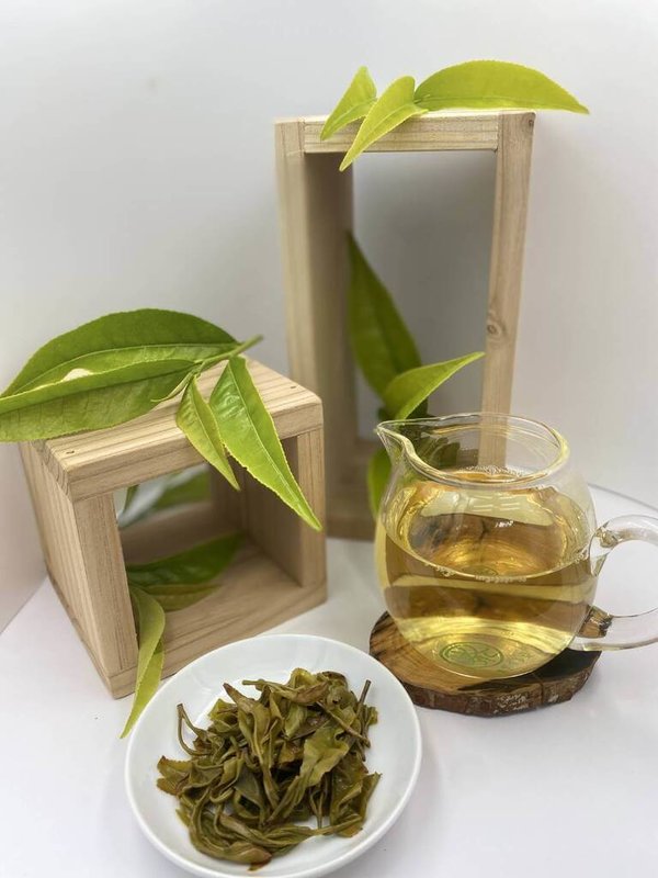 農業部茶及飲料作物改良場經由特殊製茶工藝，研發出台茶24號「山蘊」，將被譽為「台灣茶界櫻花鉤吻鮭」的原生種茶葉，轉化為高機能性烏龍茶，帶有獨特木質菇蕈味，並伴隨蔗糖、糖炒栗子般的溫潤甜香。（茶改場提供）中央社記者汪淑芬傳真  115年4月14日