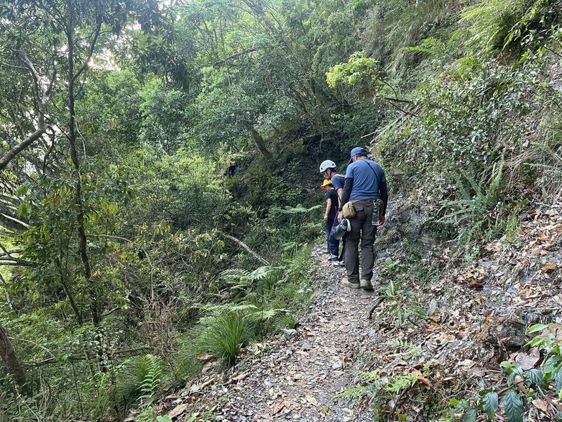 陳姓女山友在八通關越嶺道東段瓦拉米步道失聯，花蓮縣消防局獲報搜救迄今進入第5天，全面動員針對失聯熱區進行高密度、無死角搜索，熱區周邊邊坡、溪溝及植被茂密處也仔細進行地毯式清查。（花蓮縣消防局提供）中央社記者李先鳳傳真　115年4月15日
