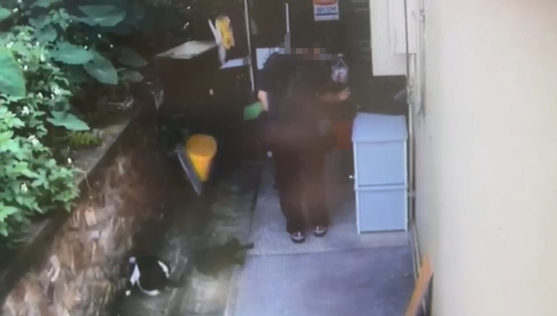 28歲李姓男子日前在新北市猴硐貓村，持辣椒水朝貓咪噴灑，5隻貓咪受到波及，瑞芳警分局14日將李男帶回調查，李男到案後供稱因心情不佳才會犯案，警方詢後依涉犯動物保護法罪嫌，將李男移送基隆地檢署偵辦。（讀者提供）中央社記者王朝鈺傳真　115年4月15日