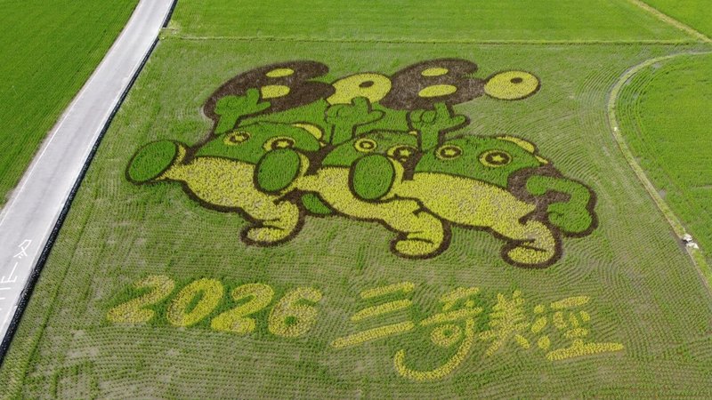 宜蘭縣冬山鄉「三奇美徑」每年春夏都以不同彩稻呈現不同意象，今年以黃、黑、綠3種不同稻苗，在約0.3公頃田間呈現Q版波波草圖案，可愛吸睛，觀賞期將持續至6月底稻田收割時。（冬山鄉公所提供）中央社記者沈如峰宜蘭縣傳真　115年4月15日