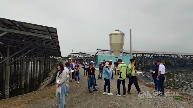 台泥嘉謙綠能舉辦漁電共生體驗遊程，16日參訪台泥義竹漁電共生場域等多處，串連漁業、農業與產業，展現綠色能源與農村共榮願景。中央社記者蔡智明攝　115年4月16日