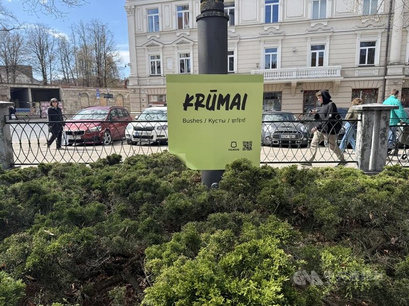 標有「灌木叢」立陶宛語的巨型便利貼。中央社記者游堯茹維爾紐斯攝　115年4月18日