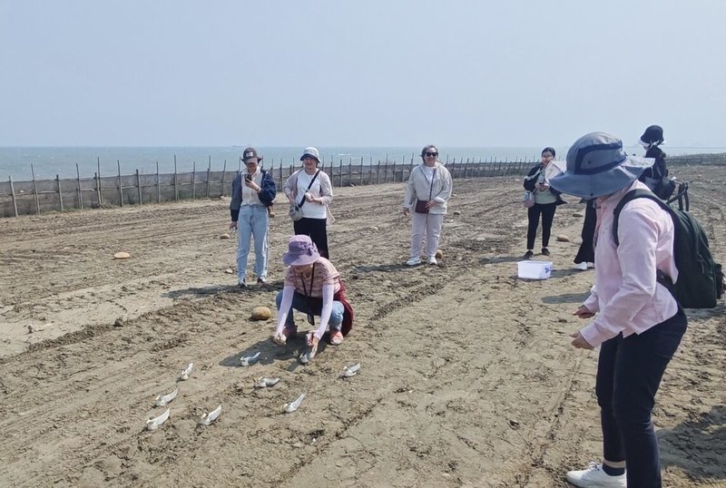 桃園國際機場公司與台灣中油公司20日簽署「生物多樣性保育合作備忘錄（MOU）」，雙方日前也共赴竹圍漁港，展開小燕鷗繁殖棲地營造行動。（桃園國際機場公司提供）中央社記者吳睿騏桃園機場傳真　115年4月20日
