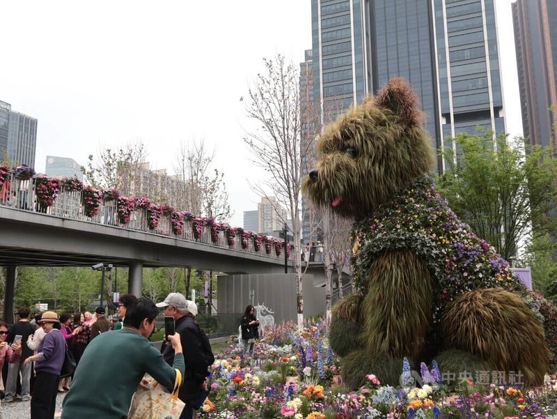 2026上海國際花卉節18日揭幕，靜安蘇河灣展區展出一隻5.2公尺高、以細葉針茅與矮牽牛打造的巨型綠植景觀作品，以西高地犬為原型，民眾為其取名為「潦草小狗」。中央社記者李雅雯上海攝　115年4月21日