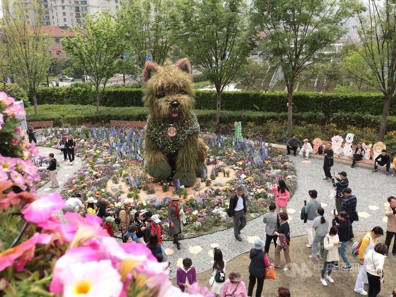 2026上海國際花卉節18日揭幕，靜安蘇河灣展區展出以西高地犬為原型的巨型綠植景觀作品，深獲好評與喜愛，民眾為其取名為「潦草小狗」。中央社記者李雅雯上海攝　115年4月21日