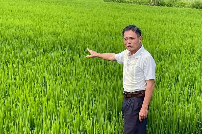 南投縣草屯鎮稻農李啟元（圖）獲2024年台灣稻米達人選拔金牌及新台幣60萬元獎金，卻被認定非屬農業所得、超出老年農民福利津貼排富門檻，今年1月起停發。（立法委員馬文君團隊提供）中央社記者蕭博陽傳真　115年4月21日