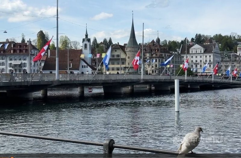 潔白的鴿子象徵和平。瑞士城市琉森（Luzern）並未實施鴿子禁餵令，但市政府仍呼籲民眾避免隨意餵食。撲殺鴿子是琉森現階段的做法之一，不過撲殺數量已較過去大幅下降。中央社記者郭芳君琉森攝　115年4月22日