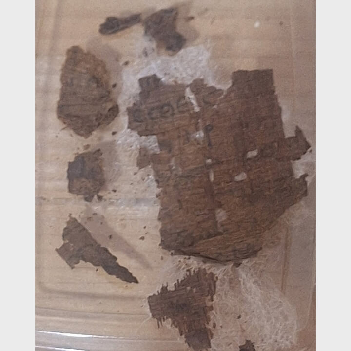 考古學家在一具古埃及木乃伊的腹部發現一份紙莎草抄本的荷馬史詩「伊里亞德」。（圖取自巴塞隆納大學官網web.ub.edu）