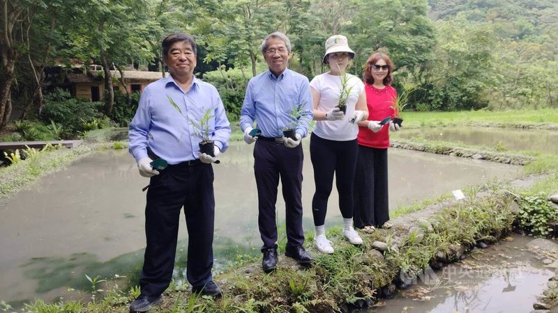 日月光集團參與頭城農場瀕危物種葦草蘭的棲地復育，日前日月光環保永續基金會副總監陳心婷（右2起）與林業及自然保育署宜蘭分署長蕭崇仁、頭城農場董事長卓志宏在水稻田旁栽下葦草蘭。中央社記者汪淑芬攝　115年4月24日