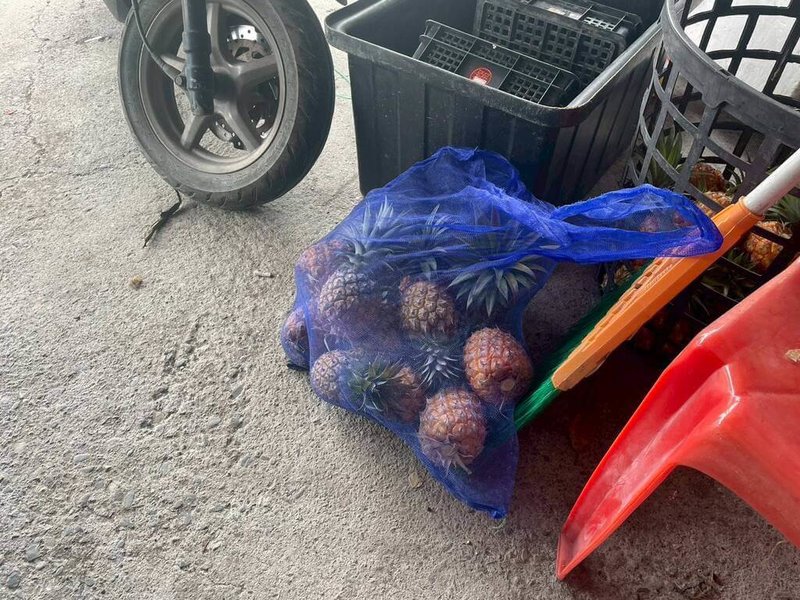 正值鳳梨產季且價格佳，里港警分局23日啟動護果專案，首日即有農民報案鳳梨失竊，警方也迅速查獲2名竊嫌。（屏東縣政府警察局里港分局提供）中央社記者黃郁菁傳真 115年4月25日