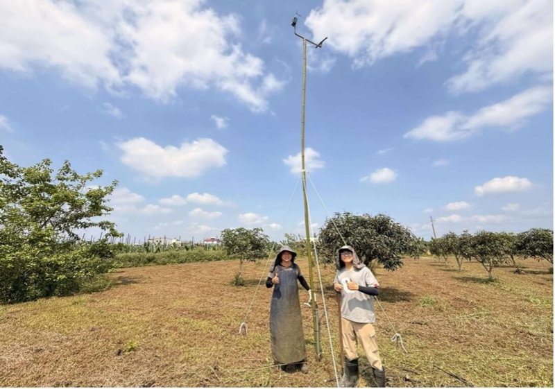 屏東縣政府推動生態給付，讓農地成為瀕危物種草鴞棲地。獎勵金項目包含於田區架設猛禽棲架。（屏東縣政府農業處提供）中央社記者黃郁菁傳真 115年4月25日