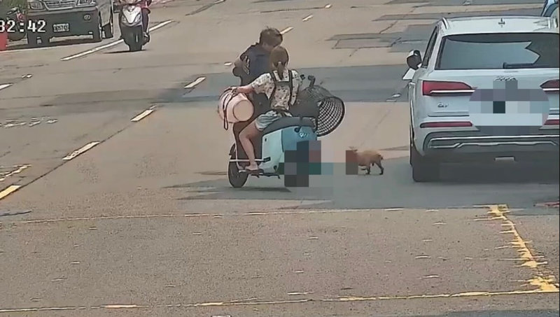 高雄鳳山警方日前巡邏發現路上有一隻貴賓犬在車流頻繁的馬路上亂竄，恰好陳姓飼主趕到表示正尋找愛犬，員警立即以塑膠籃配合圍捕，避免妨礙交通。（高雄鳳山警分局提供）中央社記者洪學廣傳真　115年4月25日