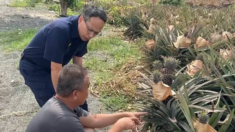 正值屏東鳳梨產季，鳳梨因採摘方便且多位於偏僻處，易遭宵小覬覦。屏東縣政府警察局里港分局長邱逸樵（後）前往高樹鄉許姓果農鳳梨園，關心防竊作為，並籲提高警覺。（屏東縣政府警察局里港分局提供）中央社記者黃郁菁傳真 115年4月25日