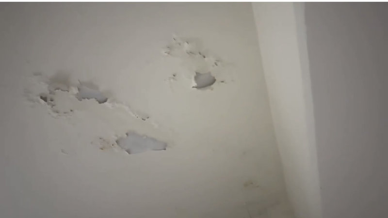 民進黨台北市議員陳怡君27日表示，大巨蛋頻漏水，日前會勘發現停車場天花板有嚴重壁癌，甚至連油漆都剝落；體育局說，會盡快找相關公會查看，並請遠雄改善。（台北市議員陳怡君提供）中央社記者黃麗芸傳真　115年4月27日