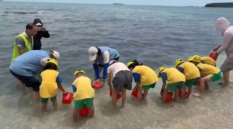 澎湖縣湖西鄉公所深化海洋環境教育，27日在白坑沙灘周邊海域放流種苗一批。（澎湖縣湖西鄉公所提供）中央社  115年4月27日