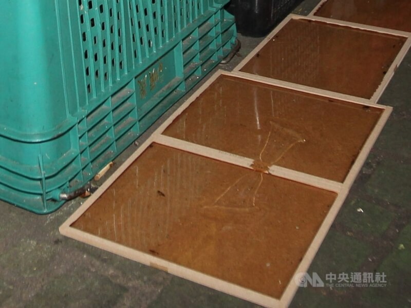 圖為黏鼠板。（中央社檔案照片）