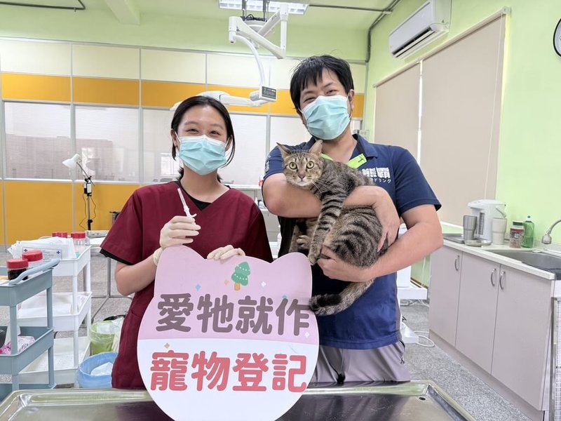 屏東縣政府將自5月1日起推動「家貓登記絕育送好禮」活動，鼓勵飼主為家中貓咪完成寵物登記及絕育措施，就可獲得500元超商禮券，藉以強化家貓源頭管理。（屏東縣政府提供）中央社記者李卉婷傳真 115年4月29日