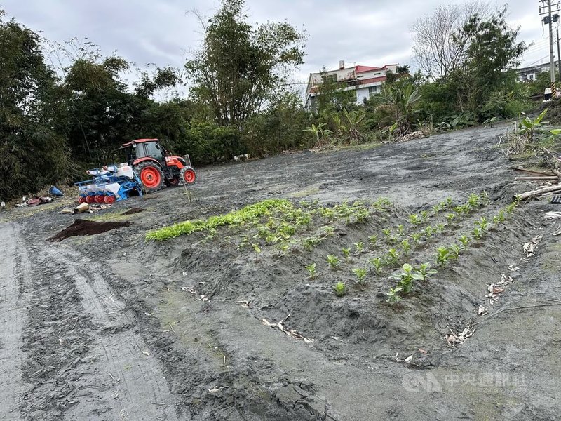 花蓮馬太鞍溪溢流影響，洪水淹沒光復及鳳榮地區農田，洪水退去後田間留下大量淤土，花蓮區農業改良場協助災區農友重建生產環境，藉復耕示範經驗擴散，讓受損土地再現生機與希望。中央社記者李先鳳攝　115年4月29日