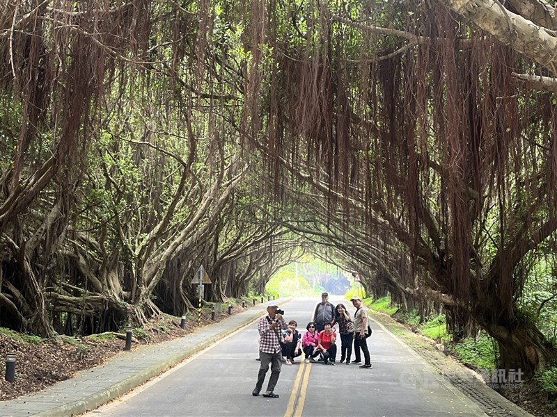 圖為馬祖西莒的「綠色秘境」。（中央社檔案照片）
