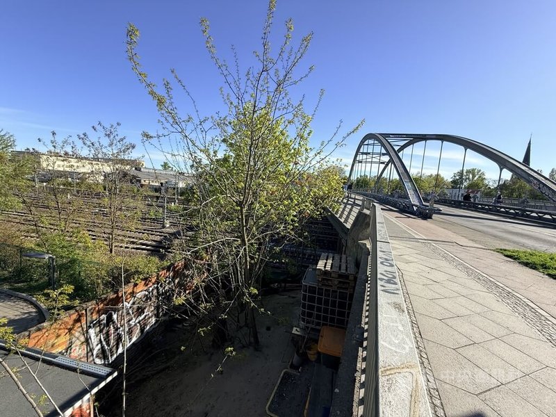 柏林莫德森橋橋墩周邊經整建後，原本可見生活與居住痕跡的空間已被清理，僅剩鐵道、圍牆與新生長的植被。過去曾有人棲身的空間，在城市再造與翻新中逐漸消失。中央社記者林尚縈柏林攝　115年4月30日