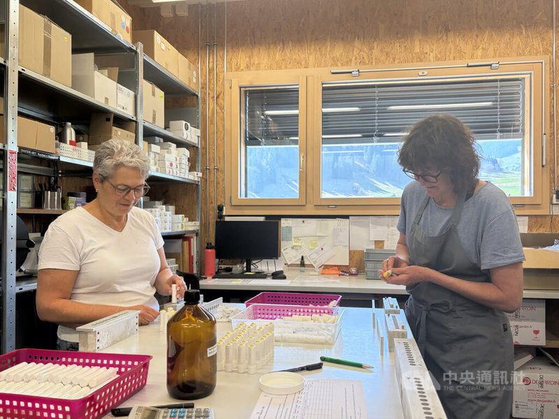 在瑞士伯恩高地的獵人施密德，原本是一名機械技師。因為珍惜家鄉與土地文化，施密德利用原本逐漸被遺忘的民間智慧，創造在地就業機會。圖為產品生產情形。中央社記者郭芳君蘇黎世攝　115年4月30日