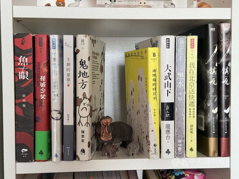 除了中學教師身分，大學同時主修哲學與漢學的莫曼妮也是專業德中譯者，把不少童書與經典台灣文學作品譯為德語。圖為部分莫曼尼翻譯的台灣文學作品。中央社記者林尚縈柏林攝　115年4月30日